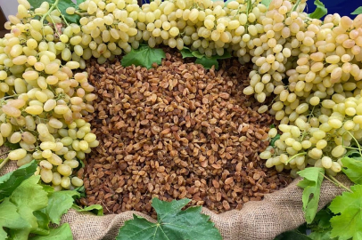 Çekirdeksiz ihracatta Türkiye 'en'leri yaşadı