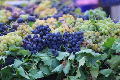 İzmir Karabağlar'da coğrafi işaretli üzüme yoğun ilgi