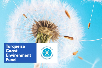 TCEF 2026 Hibe Programı'nda Türkiye'nin güney ve batı kıyılarına destek... Son başvuru 25 Ocak